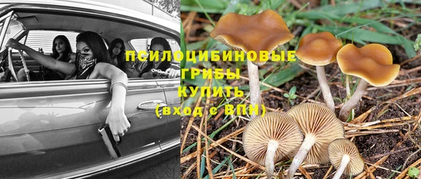 не бодяженный Ростов