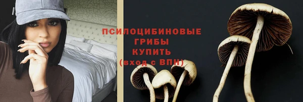 твердый Россошь