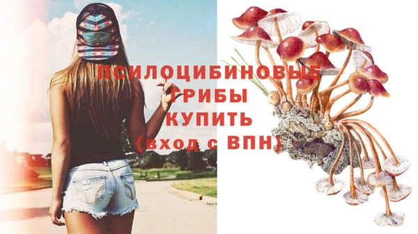 твердый Россошь