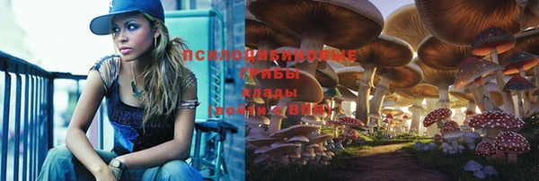 spice Рославль