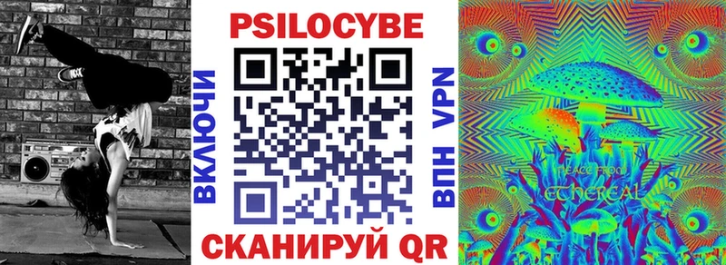 где купить наркотик  Магнитогорск  Галлюциногенные грибы Psilocybe 