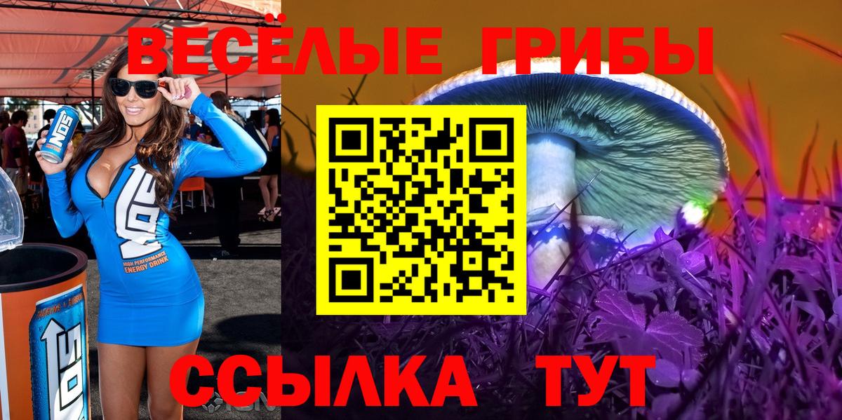 Галлюциногенные грибы GOLDEN TEACHER Магнитогорск